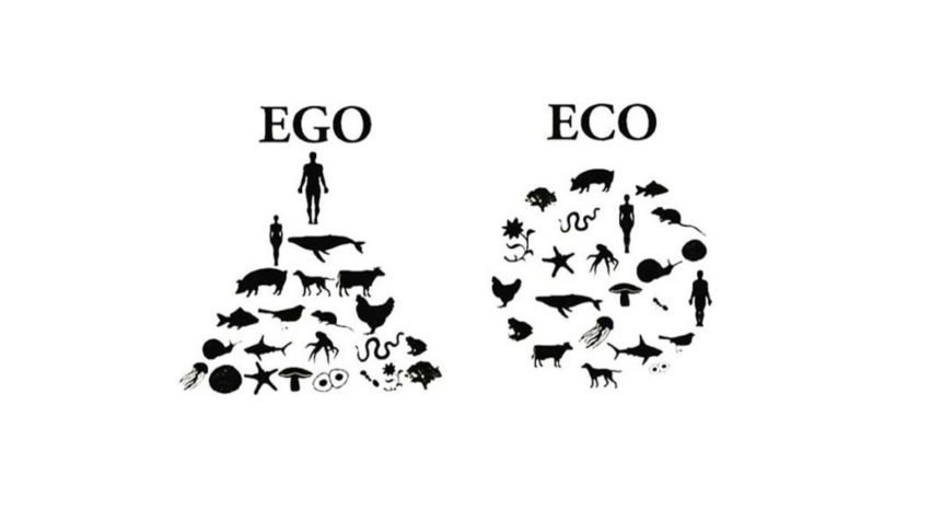 EGO Living ECO Living